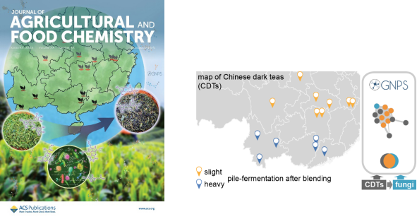 yd2333云顶电子游戏凌铁军课题组揭示中国黑茶中微生物和非挥发物化学多样性的决定因子