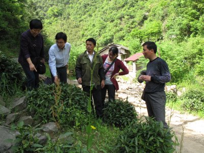 心系茶农  服务地方茶产业振兴与发展